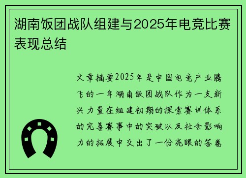湖南饭团战队组建与2025年电竞比赛表现总结